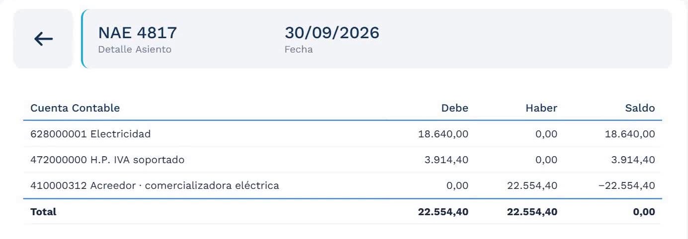 Detalle del asiento NAE 4817 en Xerppa for Finance: electricidad, IVA soportado y acreedor, con debe y haber cuadrados